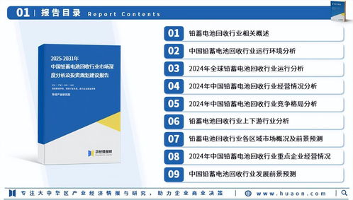 2025年中國鉛蓄電池回收行業(yè)市場深度調(diào)查及投資前景預(yù)測報告